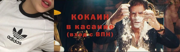 дмт Абаза