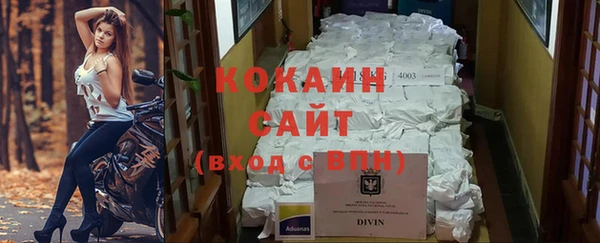 гашик Алзамай