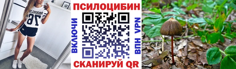 наркошоп  Весьегонск  MEGA зеркало  Галлюциногенные грибы мухоморы 